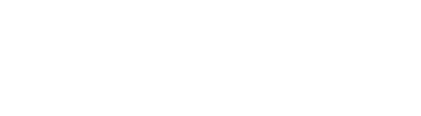 Swedish Underground Alliance (SEUA)